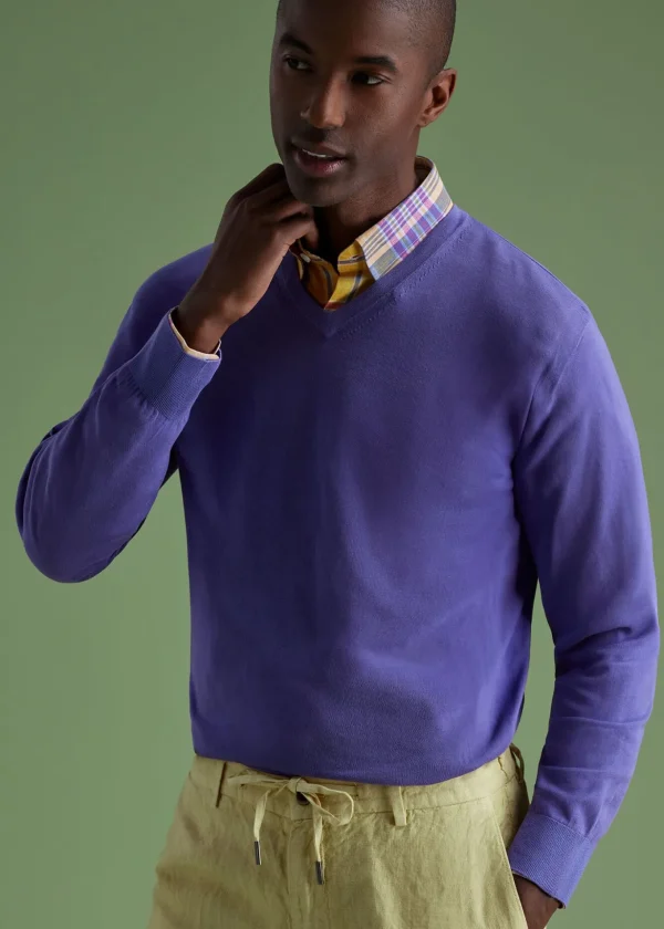 Fine Gauge Cotton V-Neck Sweater