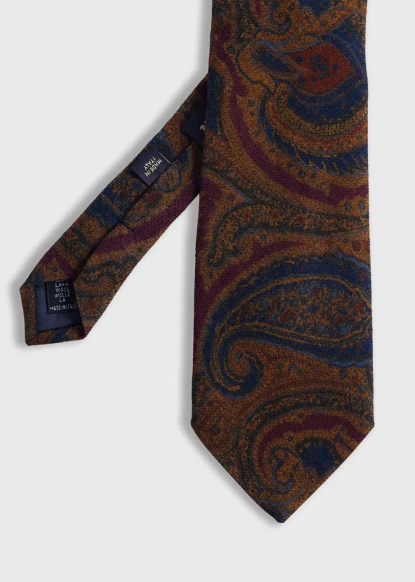 Printed Wool Paisley Tie