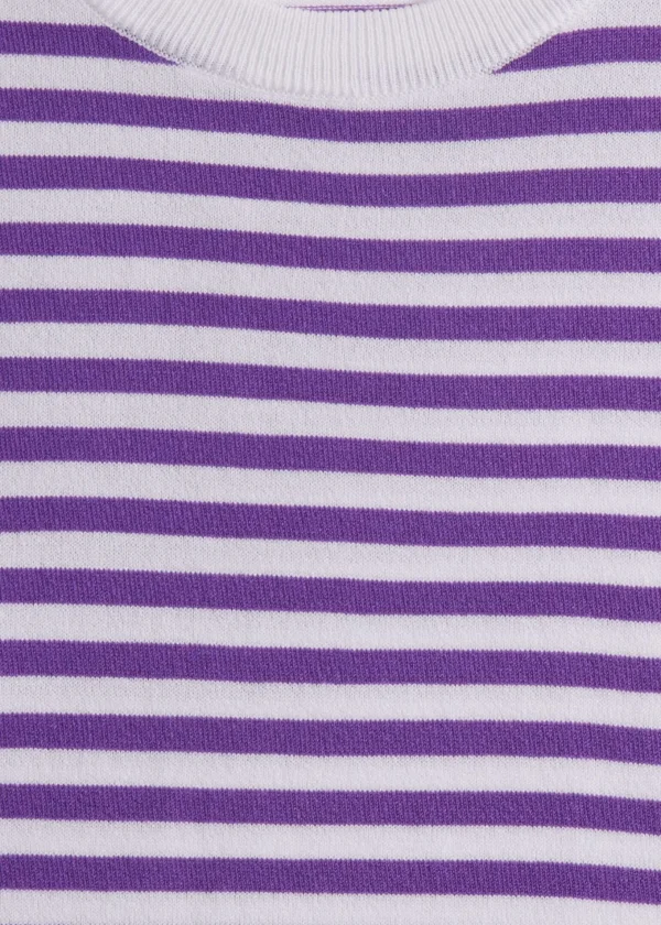 Stripe Knit Short Sleeve Crewneck